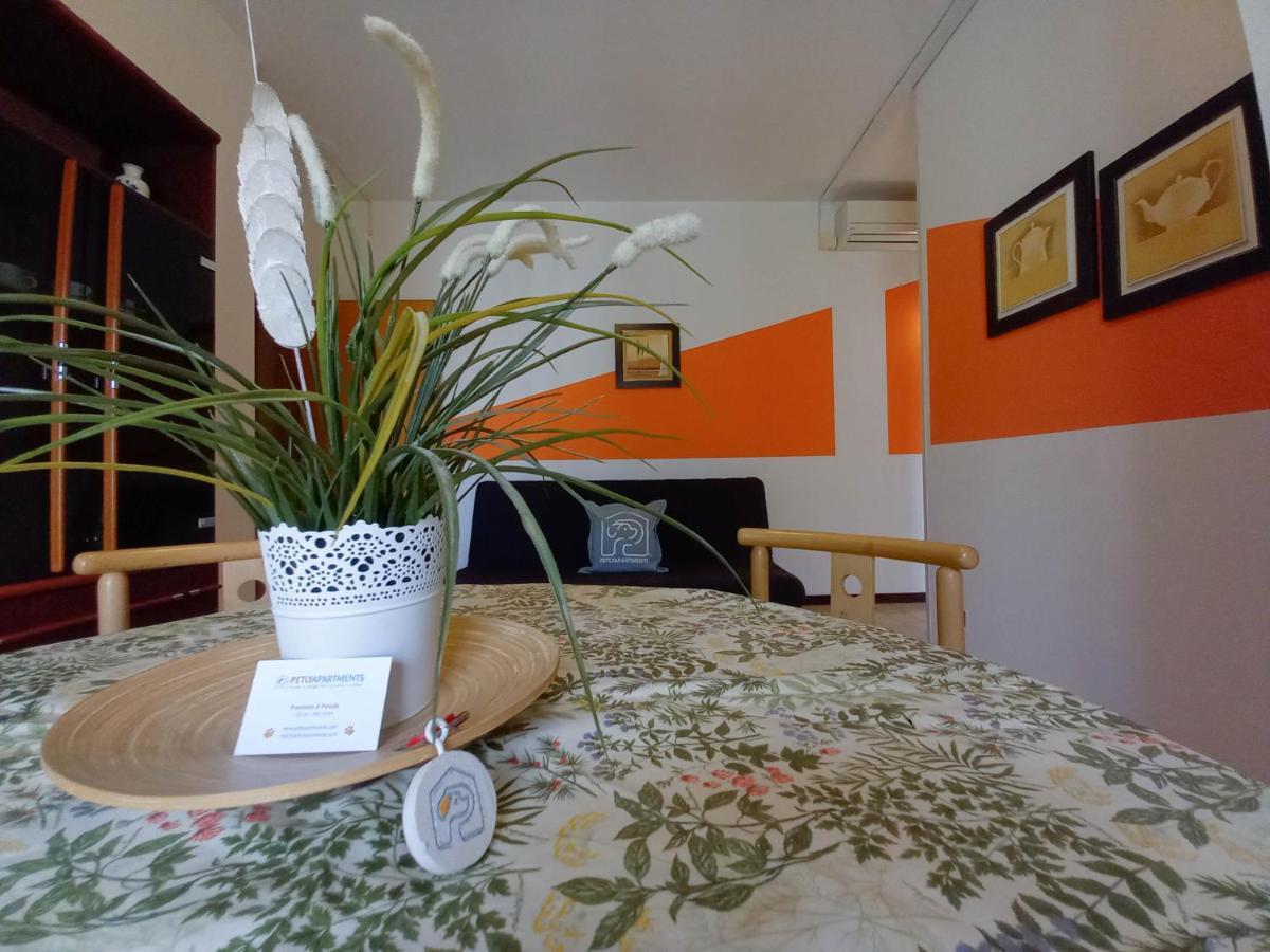 Petlyapartments 벨레지아아지마리나 외부 사진